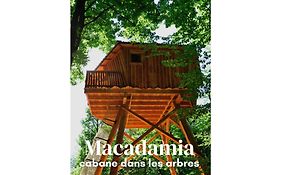 Les Cabanes De Fontfroide