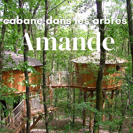 Les Cabanes De Fontfroide Saint-Antoine  Esterno foto