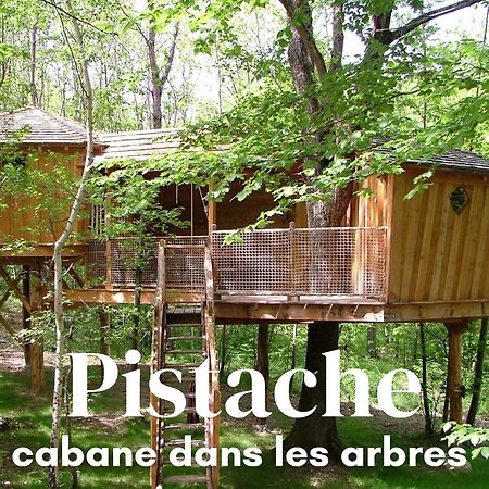 Les Cabanes De Fontfroide Saint-Antoine  Esterno foto
