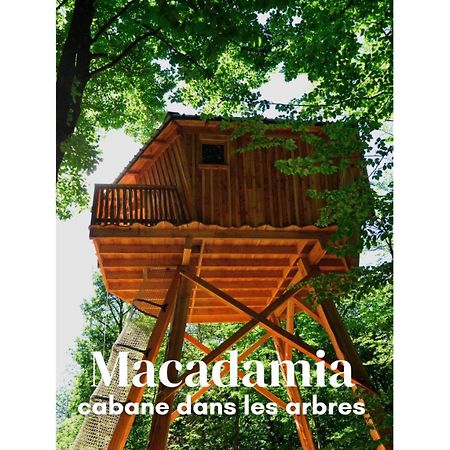 Les Cabanes De Fontfroide Saint-Antoine  Esterno foto
