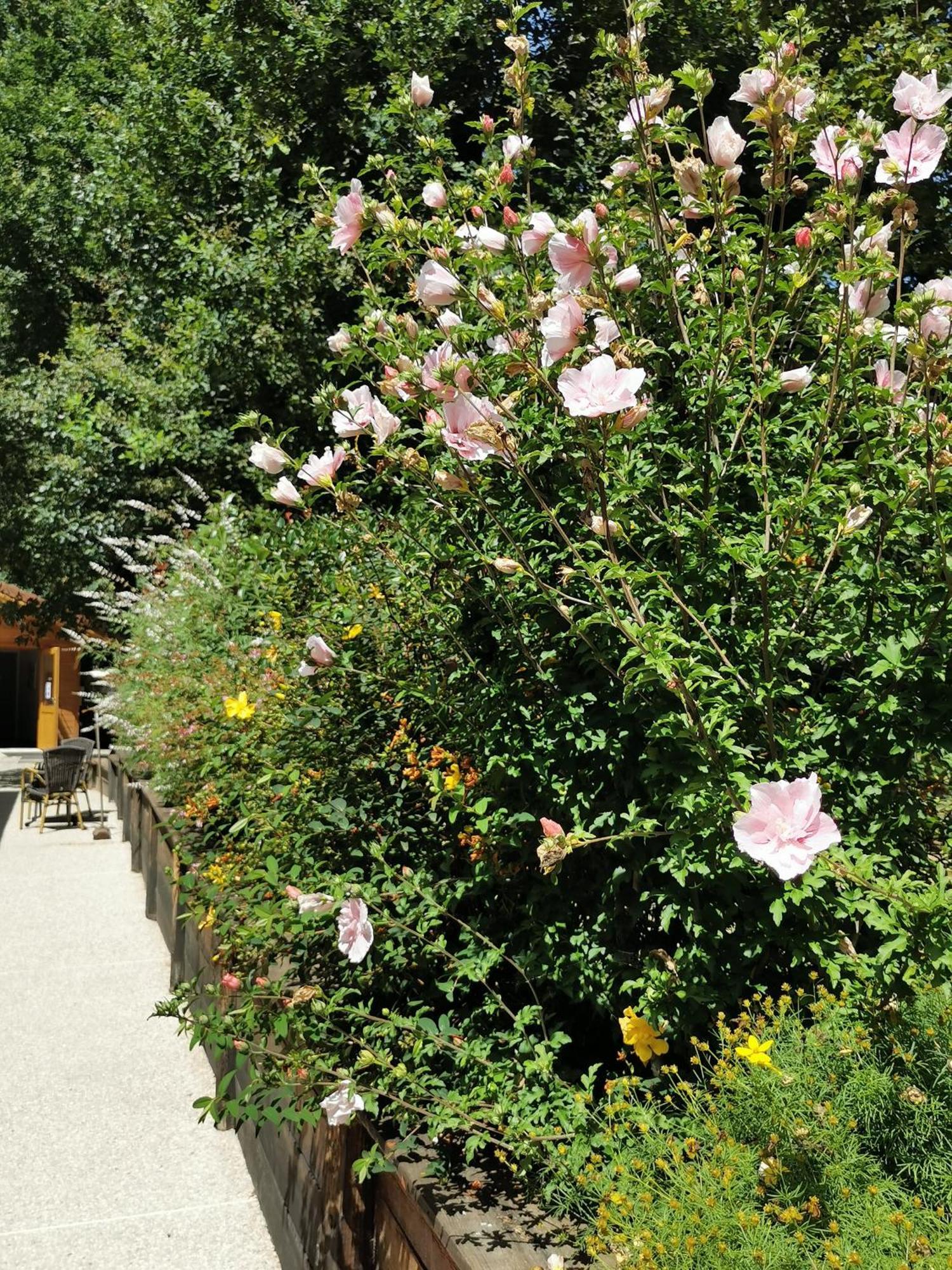 Les Cabanes De Fontfroide Saint-Antoine  Esterno foto